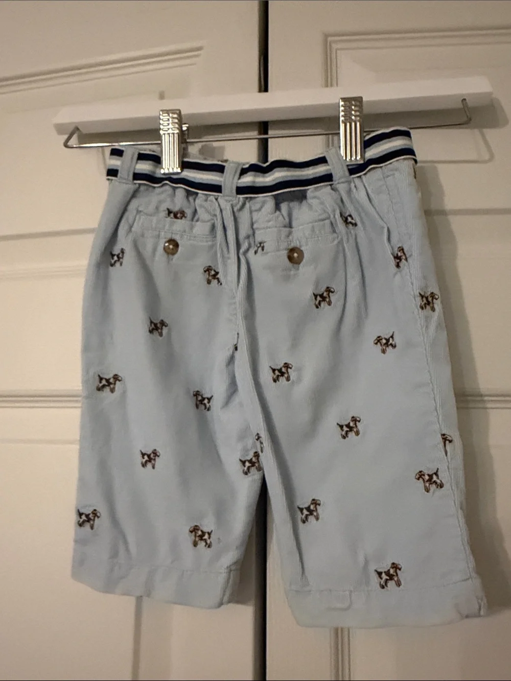 Ralph Lauren Light Blue Corduroy Embroidered Dog Shorts with Stripe Belt-9 Month